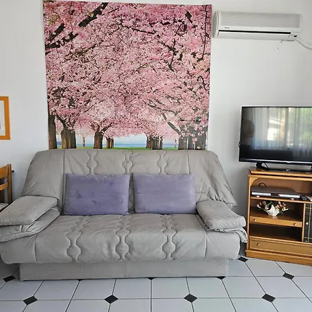 Apartment Kirki